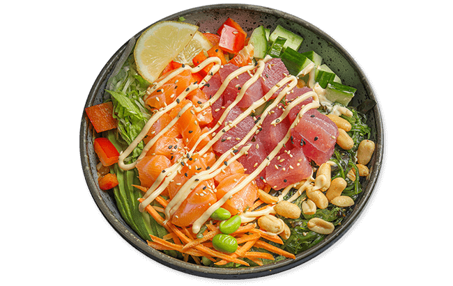 Produktbild Rice Bowl Sake Tekka